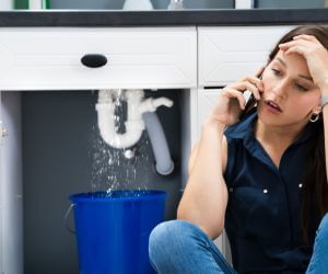 About Emergency plumbing pros Sciota, IL